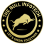 Bullinfotech logo